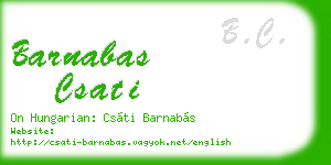 barnabas csati business card