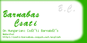 barnabas csati business card